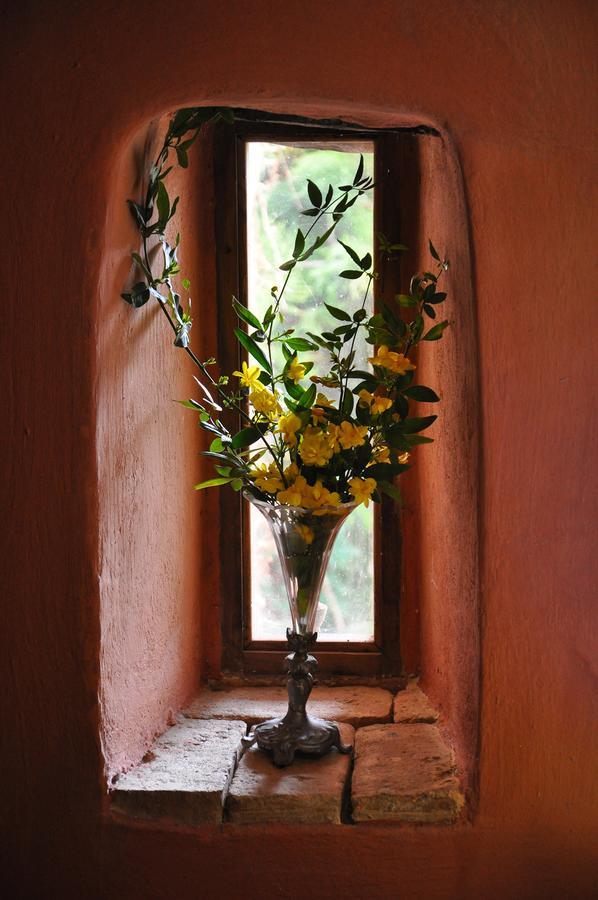 Villa Domenicale Ágios Márkos Exteriér fotografie