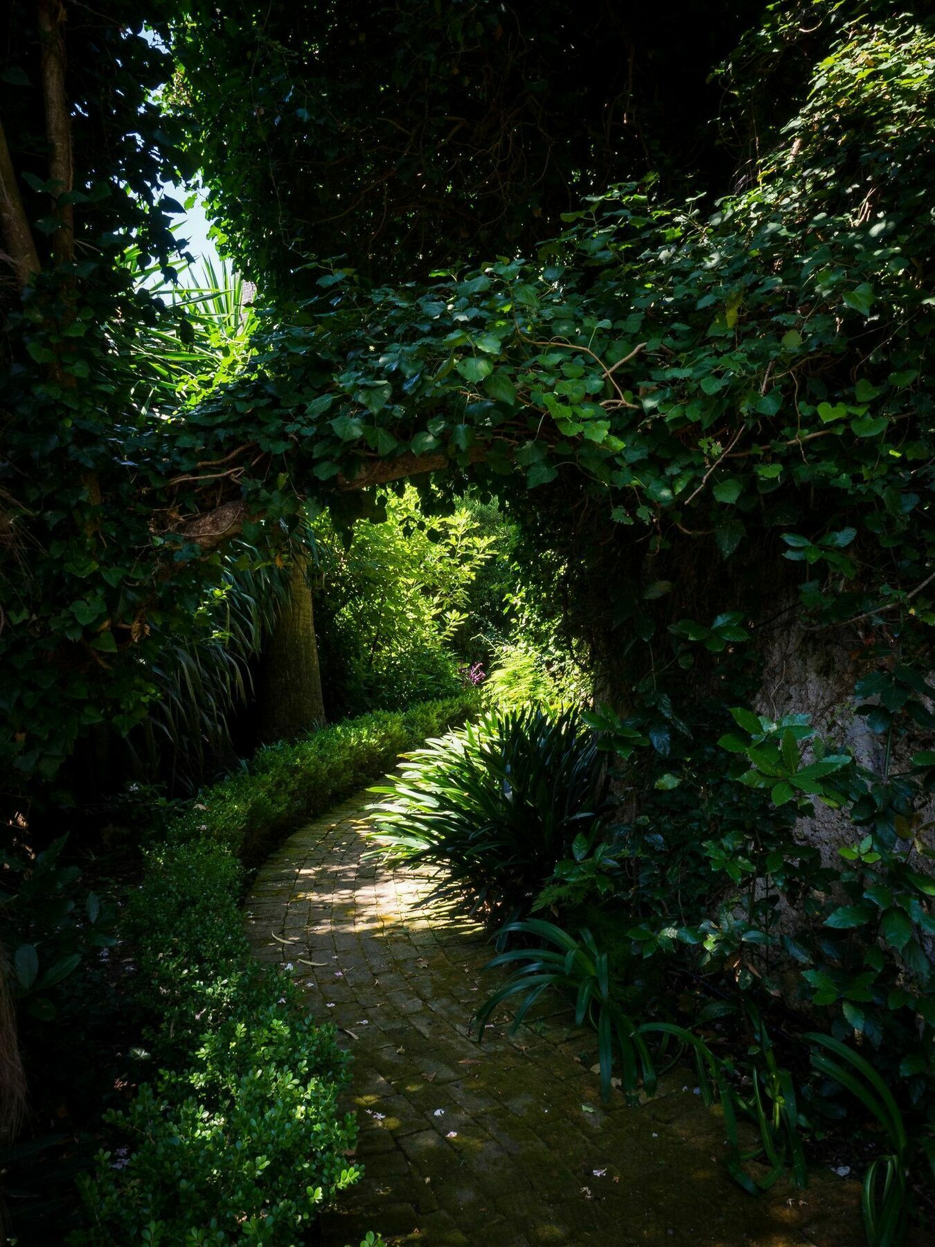 Villa Domenicale Ágios Márkos Exteriér fotografie