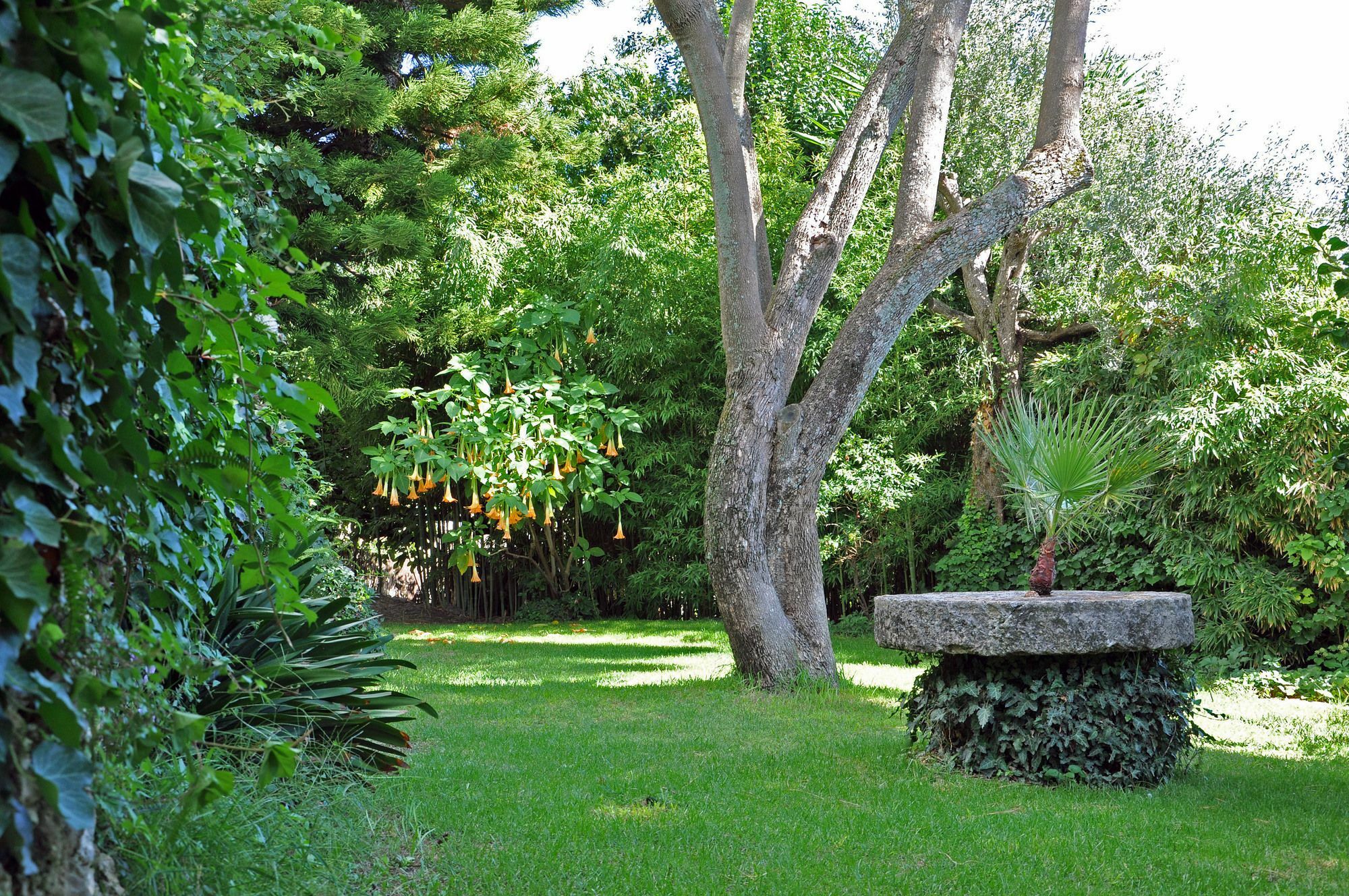Villa Domenicale Ágios Márkos Exteriér fotografie